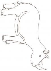 coloriage d'un rhinoceros