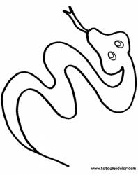 Coloriage D Un Serpent A Sonnette Tete A Modeler