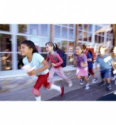 Programmes scolaires