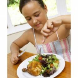 Généralités sur l'alimentation