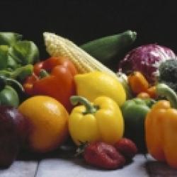 Alimentation contre la grippe
