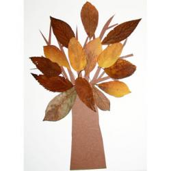 Fabriquer un arbre en feuilles d'Automne