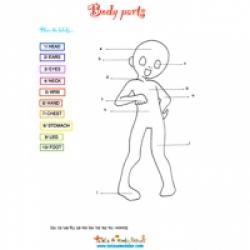 Activité pour apprendre l'anglais aux enfants