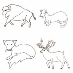Coloriages des animaux forêt et campagne