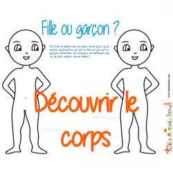 Corps humain : activités sur le corps et les organes