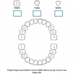 Gabarits pour les expériences