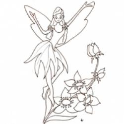 Petite fée sur les fleurs