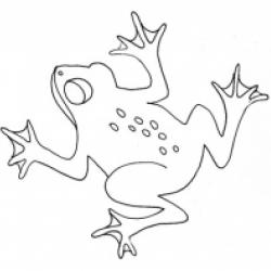 grenouille
