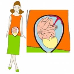 Après 9 mois bébé prend toute la place dans le ventre de maman