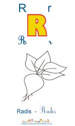 Radis