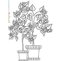 Arbuste de jardin en pot à colorier