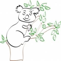 Coloriage de koala