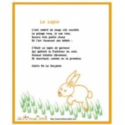 Poésies sur le lapin