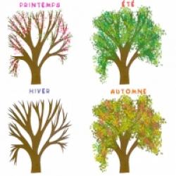 Saisons, activités sur les saisons