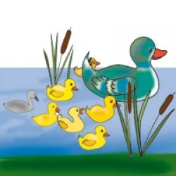 Le vilain petit canard 