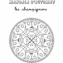 Coloriage mandala champignon
