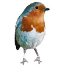 Oiseau