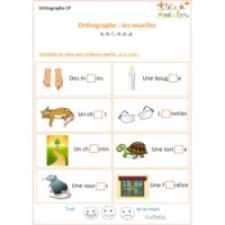 Orthographe : exercices de soutien scolaire