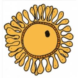 L'ovocyte ou l'ovule