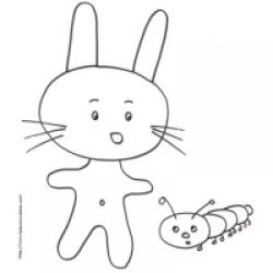 lapin mignon