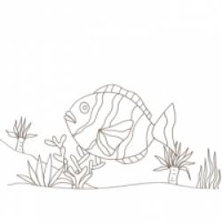 coloriage de poisson