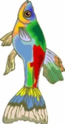 Poissons d'avril et du 1° avril à coller dans le dos des amis