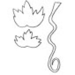 Modèle de feuilles de raisin pour composition d'automne