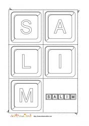 salim keystone