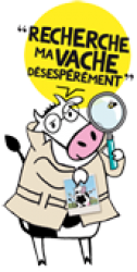 Recherche ma Vache désespérément
