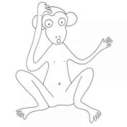 Coloriage d'un animal : le singe
