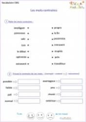 Exercices De Vocabulaire Cm1 Francais Cm1 Tete A Modeler