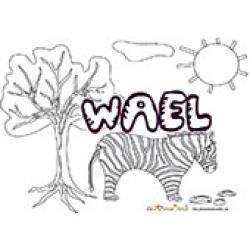 Wael, coloriages Wael