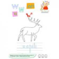 Liste des mots du glossaire commençant par W