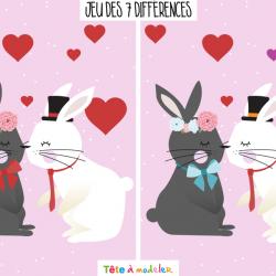 Un jeu de Saint Valentin très drôle à faire durant la Saint Valentin ! Il faudra trouver les 7 différences entre l'image de droite et l'image de gauche. Imprimez la feuille et proposer à votre enfant de résoudre ces énigmes.