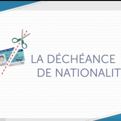 Les explications de francetv éducation sur la déchéance de nationalité