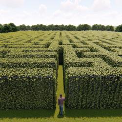 labyrinthe - mot du glossaire Tête à modeler. Définition et activités associées au mot labyrinthe.