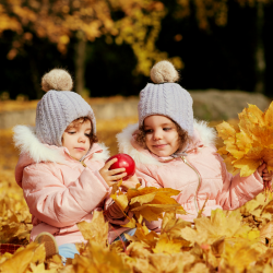 Activités et bricolages pour mieux connaître et comprendre l'automne et les saisons. Des feuilles qui tombent aux décorations d'halloween en passant par les couronnes plus de 500 activités vous sont proposées sur le thème de l'automne.