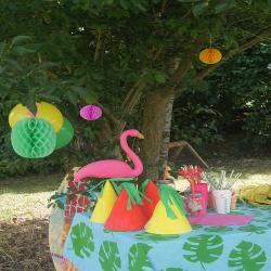 Toutes les activités du buffet tropical