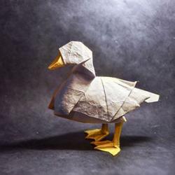 L'origami est une activité très appréciée des enfants. Mais savez-vous d'où vient cet art ? Découvrez comment s'est développé et répandu à travers le monde cette discipline. Retrouvez sur cette page, tout sur les origines de l'origami, un art vieux de plu