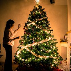 Les origines du sapin de Noël