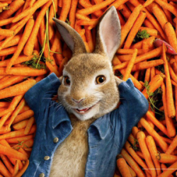 Découvrez tous les films d’animations sur le thème de Paques. À regarder seul ou en groupe, ces films feront le bonheur des petits comme des grands. Installez-vous confortablement dans votre canapé et laissez le lapin de Paques vous emmener dans son unive