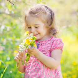 Vous cherchez des informations sur la Sainte Catherine ? Nous vous proposons un dossier spécial sur l'origine de cette fête ! Vous retrouverez des infos sur les traditions de la Ste Catherine en France et la St Catherine dans le monde, des infos sur le pe