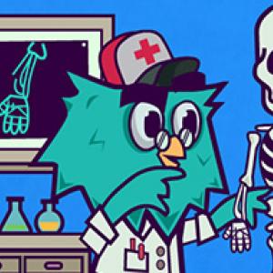 Un jeu en ligne pour mieux comprendre le corps humain
