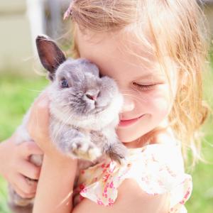 Description de comment apprivoiser un lapin afin qu'il s'habitue à son nouvel environnement et à ses nouveaux propriétaires