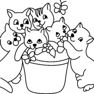 Coloriages sur les chats de toutes sortes  Coloriage chat  Tête à Modeler