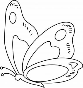 Coloriage Papillon Dessin Papillon La Selection De Tete A Modeler