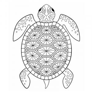 Coloriages Sur Les Tortues Tete A Modeler