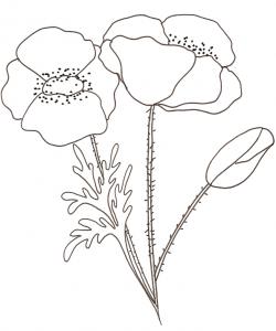 Coloriages de Printemps