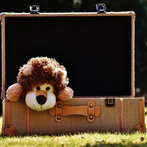 Un jeu de devinette très amusant, "dans ma valise" est un jeu qui fera travailler la mémoire des enfants ! Le but est de prononcer "Dans ma valise il y a..." et de compléter la suite ! Et ainsi de suite ! Il faut donc bien mémoriser les phrases et les rép