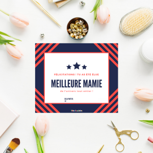 Diplome De La Meilleure Mamie A Imprimer